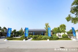 华山论剑西凤酒2025品牌文化大会之《华山论剑大讲堂·走进浙江》精彩呈现！