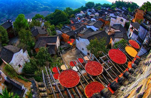  十月金黄秋意浓 一起出发去探寻中国之美 