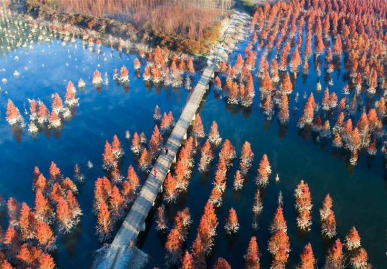 昆明：滇池上游湿地美如画