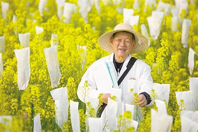 “油菜院士”傅廷栋 跟育种难题较劲60年