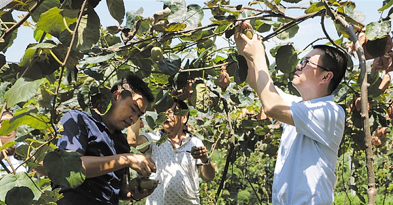 市公共资源交易服务中心倾情帮扶严湾村