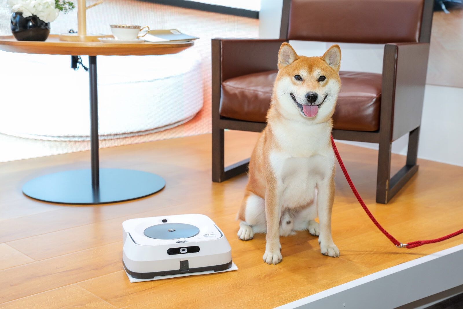 iRobot 在中国推出全新Braava jet m6 擦地机器人和ImprintTM 互联技术 开启未来清洁新体验