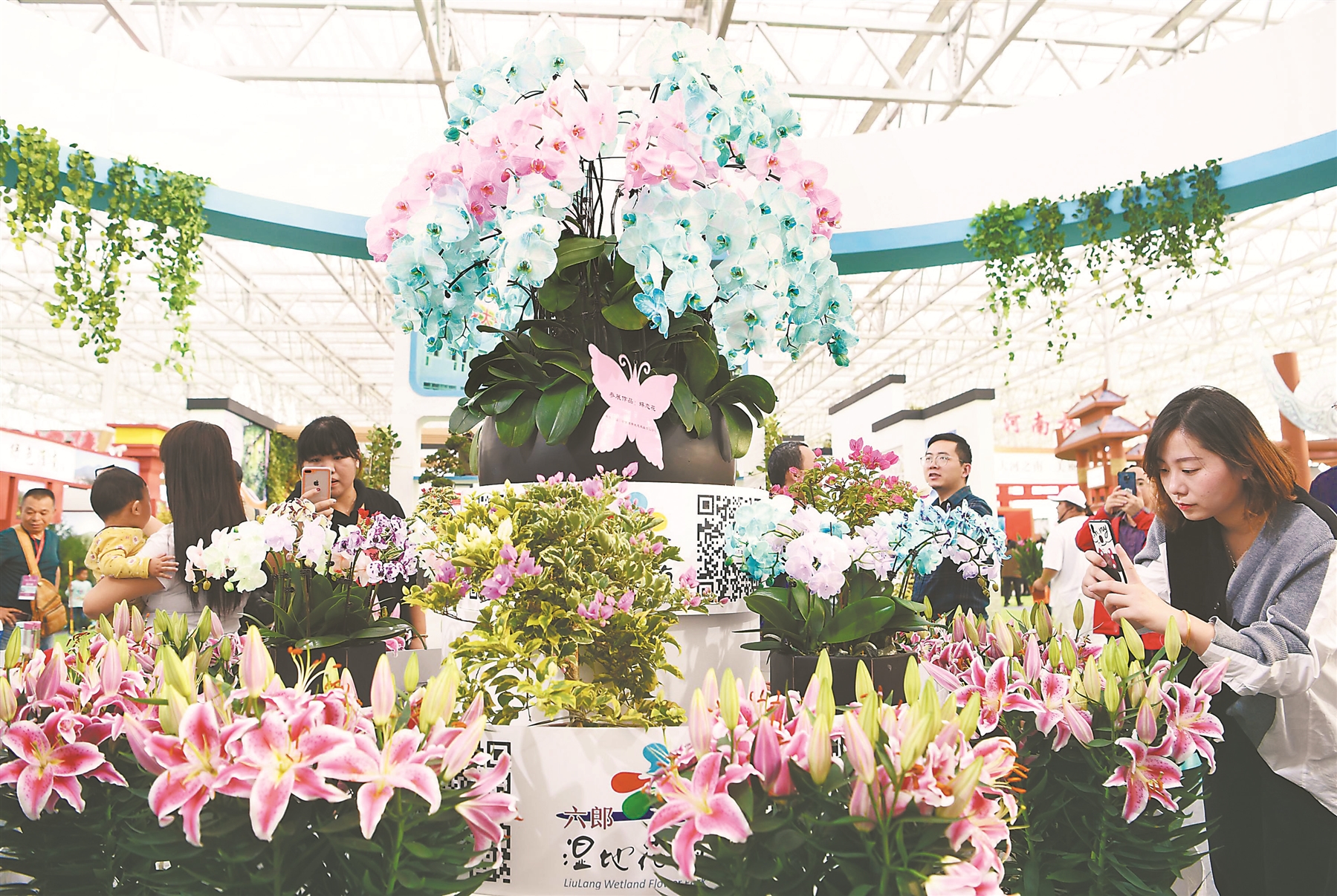鲜花经济开出新“花”样 ——从苗交会看林业高质量发展