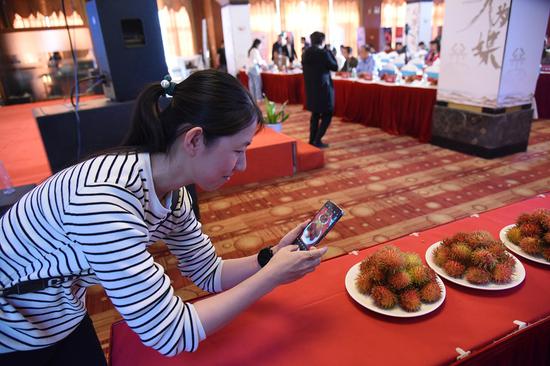 “以果为媒，乐享保亭生态美”保亭红毛丹品牌推介会在海口成功举办