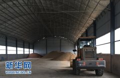  河南邓州：“三权分置”盘活农村资源助力乡村振兴