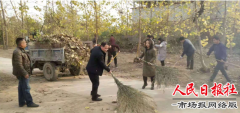 兰考县产业集聚区财政所 为村级“清零行动”保驾护航