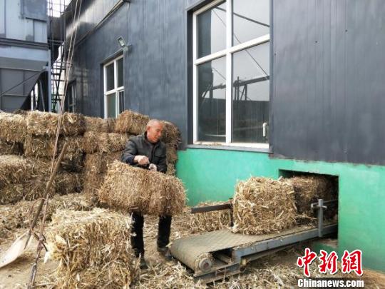 在生物质能供热站，工人依次将已经回收捆绑好的秸秆放入自动传输带，随着传输带的运转，秸秆被填入环保供暖炉内。　李庭耀 摄
