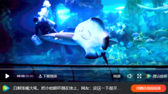 开封海洋馆第三届圣诞狂欢节今天盛大开启