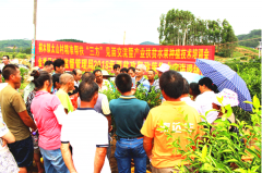 三招”激发贫困户内生动力——金秀开展精准脱贫“三方”见面活动侧记