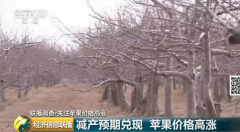苹果价格站上近5年高位贸易商压货惜售 为啥这么火?