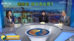 多地推出一揽子促就业大礼包 正确打开方式看这里