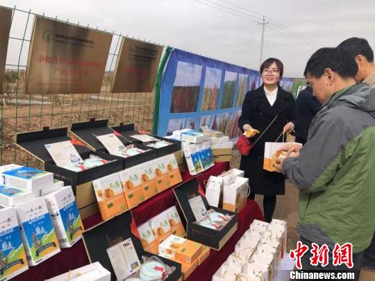 图为甘肃本土企业以藜麦为原材料生产的食品。(资料图) 徐雪 摄