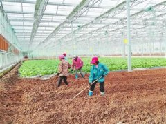 江西科技扶贫“授人以渔” 科技下乡解“近渴”