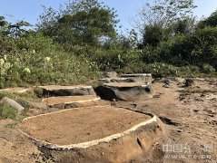    [己亥新春]“候鸟人群”在海南岛过冬的“用车经”