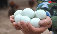 合利宝参与精准扶贫 助力增加贫困地区就业岗位