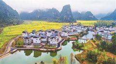  广西：花香中闯出脱贫路