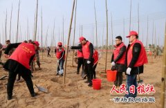   开封中院组织干警开展义务植树活动