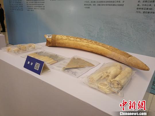 南宁海关重拳打击走私去年查获案件案值超44亿