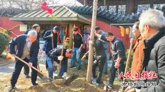  开封天波杨府春日中植树研讨共发展