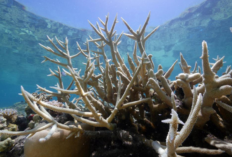 世界气象日;流浪地球;别让地球去流浪