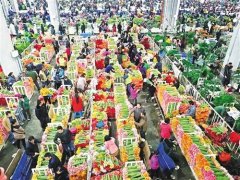  世园会将开幕 花卉离“日常消费品”有多远