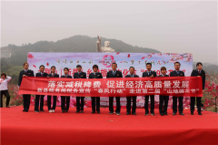 新县：落实减税降费 释放改革红利