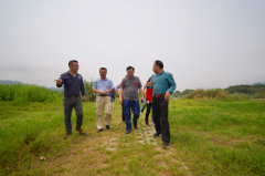 柳州市政府原秘书长陈谋等一行到柳城县凤山镇塘进屯调研