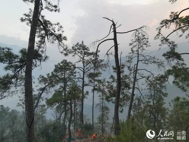 丽江玉龙发生山火，一夜扑救西北线已无明火