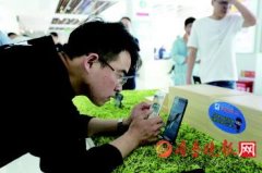 济宁首个5G营业厅落户洸河路 5G科技馆市民可来体验