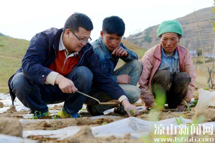 指导农户发展产业。图由采访对象提供