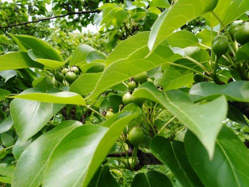 downLoad-20190517081032