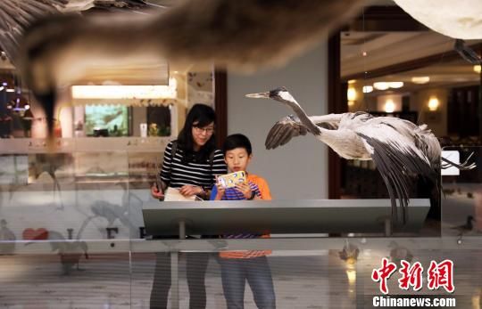 　　“科学之夜——百鸟汇”活动 汤彦俊 摄