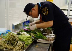 珍奇花卉亮相北京世园会 超35000棵苗木均有“身份证”