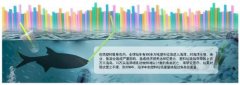 “限塑令”实施11年 塑料吸管消耗量仍旧十分惊人