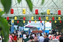 江西九江召开名茶名泉文化论坛 向世界推广茶泉文化
