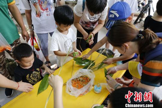 图为游客给大象包粽子 。　王成杰 摄