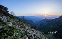端午假期陕西宝鸡接待游客392.7万人次，实现旅游综合收入 19.16亿元