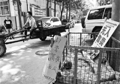 河南瓜农设30个无人销售西瓜摊