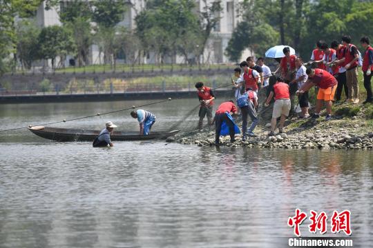 电子科大捕捞上1500余斤大鱼全校毕业生共享全鱼宴