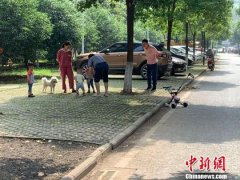 湖北禁养35个品类犬 相关规定试行一年
