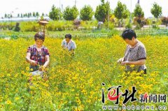 邯郸持续用力巩固提升脱贫成果