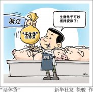 浙江试点“活体贷” 7200头猪贷了300万元