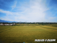 带你领略长安区的美丽乡村：悠然春风里 回首望秦川