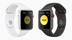 苹果禁掉Apple Watch对讲机功能 存在安全问题