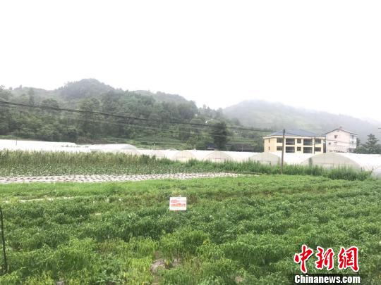图为南坪村。　冷桂玉 摄