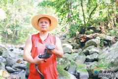 白沙致富能手寻找增收新路子：“以山为舍” 泉水养鱼