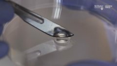 科学家新研发的自愈抗菌凝胶由病毒制成