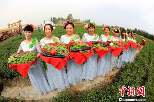 图为当地民众盛装打扮在田园里采摘果蔬。　何阳 摄
