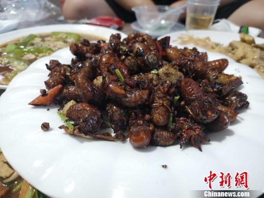 图为麻辣金蝉。　郝学娟 摄