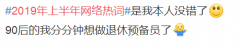 2019上半年网络热词出炉 网友：是我本人了